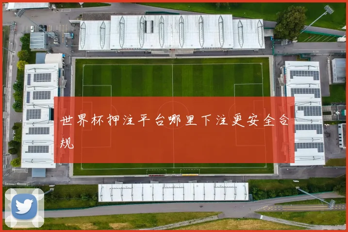 世界杯押注平台哪里下注更安全合规