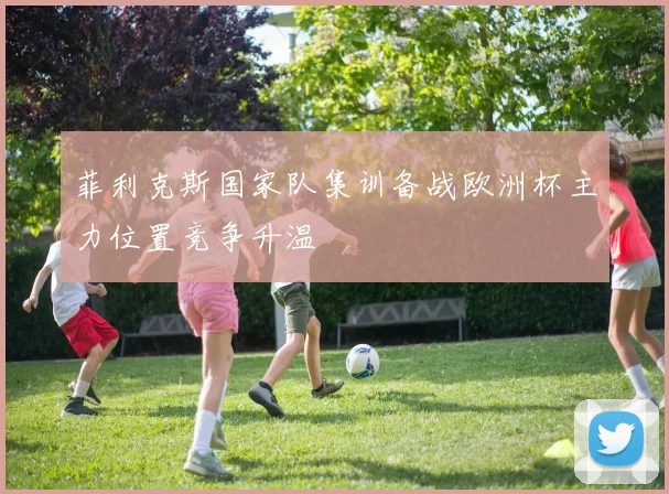 菲利克斯国家队集训备战欧洲杯主力位置竞争升温