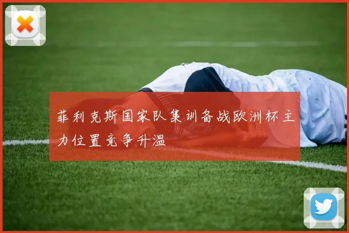 菲利克斯国家队集训备战欧洲杯主力位置竞争升温
