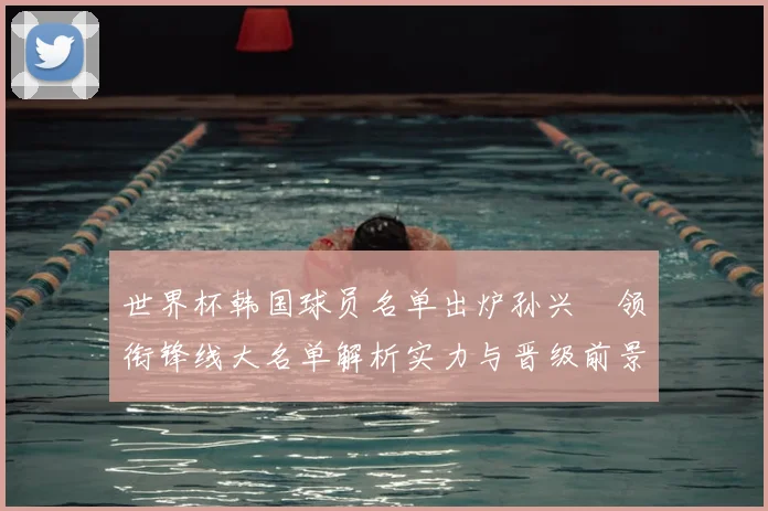 世界杯韩国球员名单出炉孙兴慜领衔锋线大名单解析实力与晋级前景