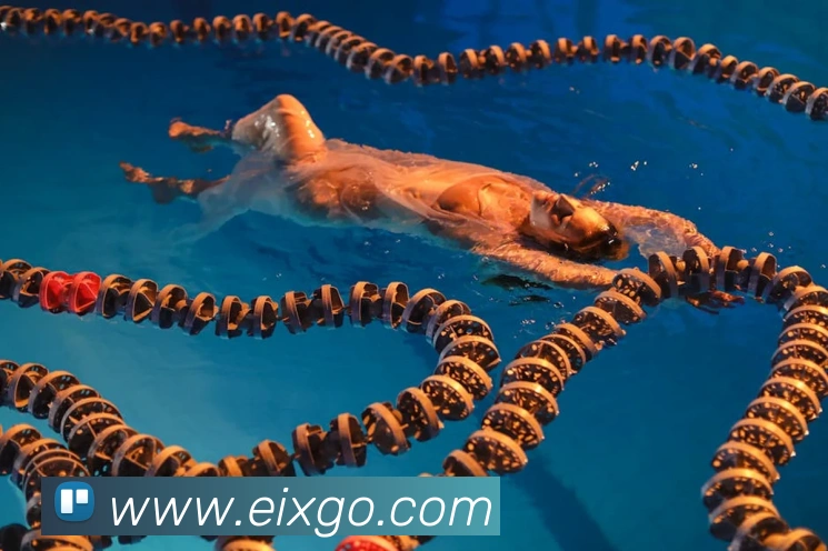 电子娱乐pg平台免费入口下载平台生态图